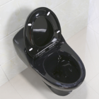 Vaso Sanitário Monobloco Completo Preto Caixa Acoplada Gowff