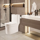 Vaso Sanitário Monobloco Esmaltado Kit Completo Xambre Mx101