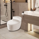 Vaso Sanitário Monobloco Esmaltado Kit Completo Xambre Mx104