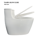 Vaso Sanitário Monobloco Esmaltado Kit Completo Xambre Mx104