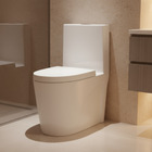 Vaso Sanitario Monobloco Gaia