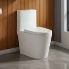 Vaso Sanitario Monobloco Gaia