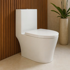 Vaso Sanitário Monobloco Ios