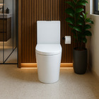 Vaso Sanitário Monobloco Ios