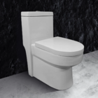 Vaso Sanitário Monobloco Pex Ícaro Produzido Em Cerâmica