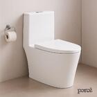 Vaso Sanitário Monobloco Porcê Abstratus Privada Com Assento