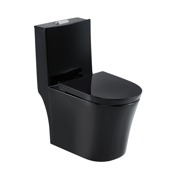 Vaso Sanitário Monobloco Preto Completo - Caixa Acoplada | Leroy Merlin