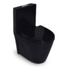 Vaso Sanitário Monobloco Preto Pex  Ícaro Produzido Em Cerâmi