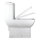 Vaso Sanitário Monobloco Prisma Quadrado Griff Inox