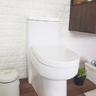 Vaso Sanitário Monobloco Reno R 250