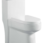 Vaso Sanitário Monobloco Reno R 250