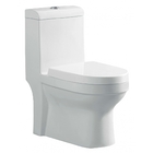 Vaso Sanitário Monobloco Reno R 300