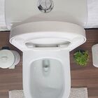 Vaso Sanitário Monobloco Reno R 300