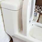 Vaso Sanitário Monobloco Reno R 350