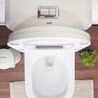 Vaso Sanitário Monobloco Reno R 500