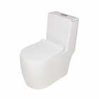 Vaso Sanitário Monobloco Smart Majestique