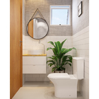 Vaso Sanitário para Caixa Acoplada Saída Vertical Nexo Branco Roca