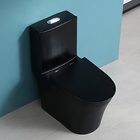 Vaso Sanitário Preto Fosco Monobloco Completo - Caixa Acoplada