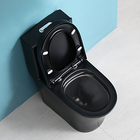 Vaso Sanitário Preto Fosco Monobloco Completo - Caixa Acoplada