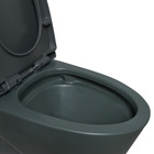 Vaso Sanitário Ravena - Gray