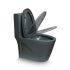 Vaso Sanitário Ravena - Gray