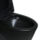 Vaso Sanitário Ravena Preto