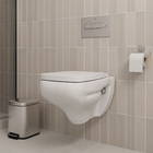 Vaso Sanitário Suspenso Branco Saída Horizontal Debba Suspenso Roca