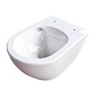 Vaso Sanitário Suspenso Em Louça - Luxo E Sofisticação