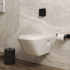 Vaso Sanitário Suspenso Branco Saída Horizontal Gap Roca