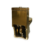 Vaso Sanitário Turim Gold