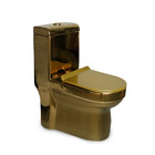 Vaso Sanitário Turim Gold