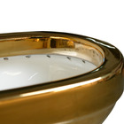 Vaso Sanitário Turim Gold