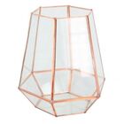 Vaso Sextavada De Metal E Vidro Rose 17 5cm X 15cm X 19cm
