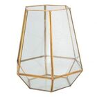 Vaso Sextavado De Metal E Vidro Dourada 17 5cm X 15cm X 19cm