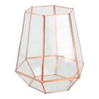 Vaso Sextavado De Metal E Vidro Rose 19cm X 21cm X 22 5cm