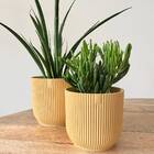 Vaso Siena Amarelo Pastel 16x14,8 West Garden