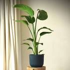 Vaso Siena Azul Petroleo 16x14,8 West Garden