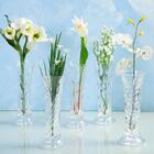 Vaso Solitário Em Vidro Prestige Love Seed 15x5 5cm