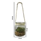 Vaso Suculenta De Pendurar Com Vaso 11cm F04 - D'rossi