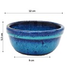 Vaso Suculenta Turquesa