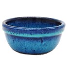 Vaso Suculenta Turquesa