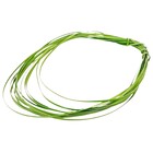 Vaso Suspenso Para Orquídea Kit Replantio Musgo Pinus Carvão