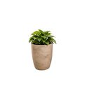 Vaso Sustentável Médio em Plástico 29x25cm com Prato Marmore Duas Marias