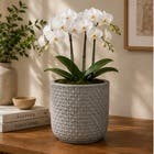 Vaso Sustentável Pequeno em Plástico 15x18,5cm Branco Carrara Beta Vouga Decor