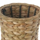 Vaso Taboa Palha Jarro Decorativo Natural Grande