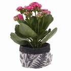 Vaso Tecido Floral Nesty Living Branco e Preto 7x9cm Design Up