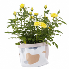 Vaso Tecido Granilite Branco e Rosa 10x10cm Design Up