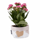 Vaso Tecido Granilite Branco e Rosa 8x10,5cm Design Up