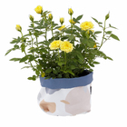 Vaso Tecido Granito Branco e Azul  10x10cm Design Up