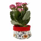 Vaso Tecido Naturalismo Color Vermelho 7x9cm Design Up